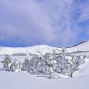 제주도 한라산산행 출발전 확인바랍니다. 이미지