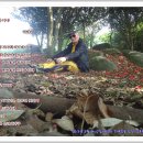 외연도5 이미지