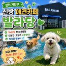 [인천/계양] 인천 신상 애견카페 발라당 | 1000평 잔디운동장 &물놀이장 솔직후기