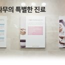 나무한의원 네이버블로그