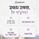 인동동물병원 이미지