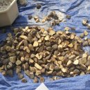 태안농협 농자재마트 이미지