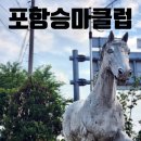 포항승마클럽 네이버블로그
