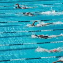 수영메디칼 | 헬스 vs 필라테스 vs 수영, 뭐가 더 좋을까? (병행 현실 후기)