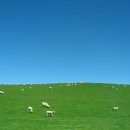 대평원목장 이미지