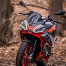 Aprilia 오도바이 RS660 이미지