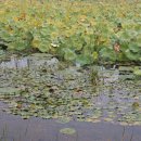 죽동체육공원 이미지