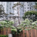 치킨플러스부산광안점 | [센텀] 부산 해운대 마린시티 긴자 일식 룸식당 가족모임,부모님과 식사 하기 좋아용🍣