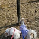 뚱몽이네 이미지