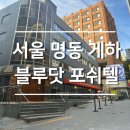 블루닷 포쉬텔 이미지