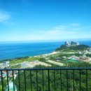 테라호텔 이미지