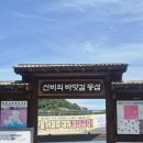 진해 명동항 신비의 바닷길 모세의 길 동섬 다녀왔어요! 진해 가볼만한곳 추천