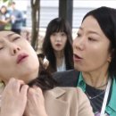 연지승 카카오 검색결과