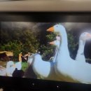 2932 | 인천에서 롤리더럼 대한한공 기내식, 좌석간격/ 미국 미니애폴리스 입국심사 후기/ KE5033 DL2932