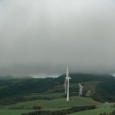 은지목장 이미지