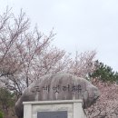 도계체육공원 게이트볼장 이미지