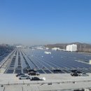 소나무 태양광발전소 이미지