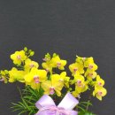 금공농장 이미지