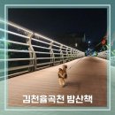 율곡천 2 이미지