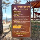남원시청교룡공원숲속야영장