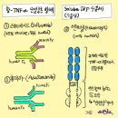 [바이오스펙테이터] &#34;글로벌 TOP 20&#34; 블록버스터 의약품은 과연 무엇일까? 이미지