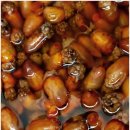 진동 | 미더덕하면 명성수산이죠! 산지직송 진동미더덕 내돈내산 후기