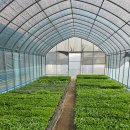 포천농약사 이미지