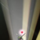 수지체육공원 농구장 이미지