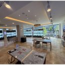 상상도그 이미지