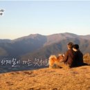 섬진강빵