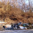 정진목장 이미지