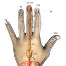 직지한의원 이미지