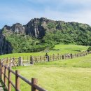 제주리조트 이미지