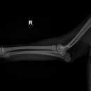 하남동물병원 이미지