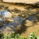 유명림행정사사무소 이미지