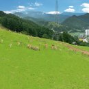 연계목장 이미지