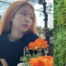 오렌지헤어 네이버블로그