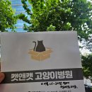 캣앤캣 고양이 병원 | 캣앤캣 고양이 병원