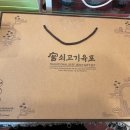 꼬삐아
