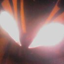 도봉-도봉-서울도봉-2186 이미지