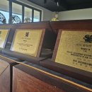 강화애견훈련학교 이미지