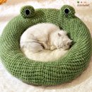 시소 펫 이미지