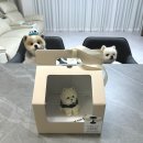 왈테이블 이미지