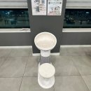 부일동물병원 | [아기길냥이들 구조 병원가기] 부평 24시 SKY동물의료센터 솔직한 진료후기 / 비용 / 주차정보