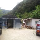 청량산 임도2 이미지