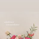 행복을 주는 집 이미지