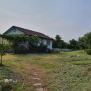 만두농장 이미지