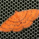 (주)생물나라 이미지