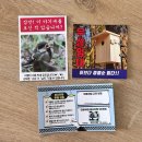 앞마당 | [대외활동 기록] 2025년 전국 앞마당 조류 모니터링단 후기