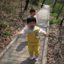 성보나유치원